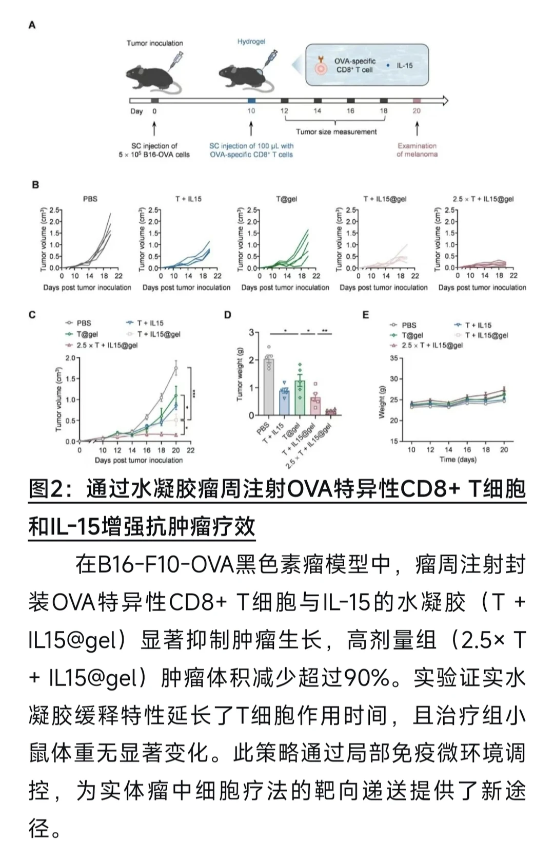 【Materials Today Bio】超分子水凝胶递送