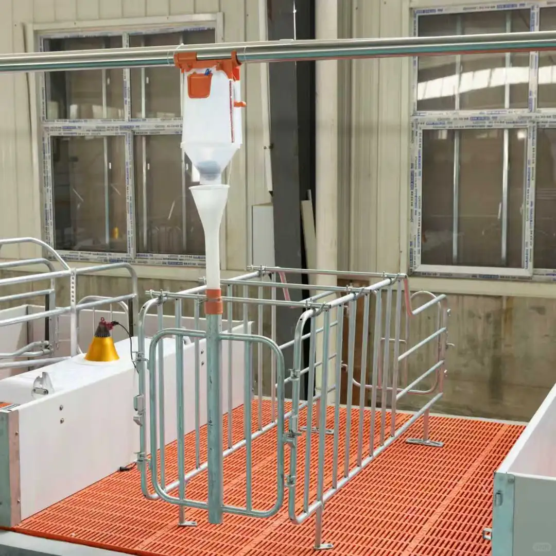 养殖设备一站式采购：养猪场定位栏