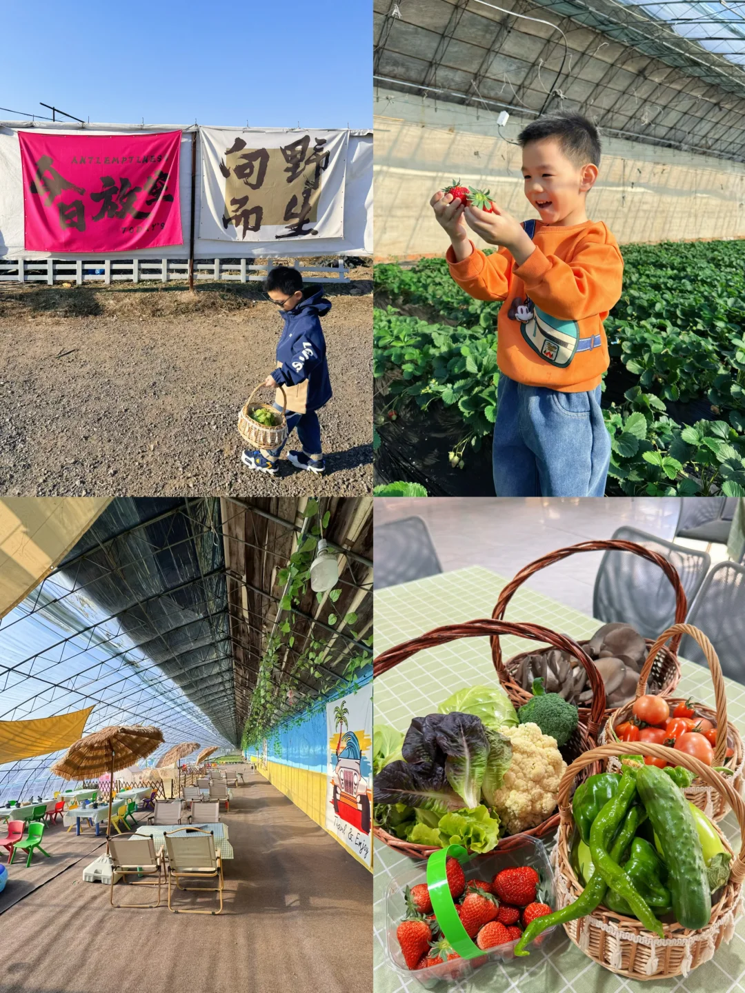 沈阳冬日遛娃天花板！承包一整天的田园快乐！