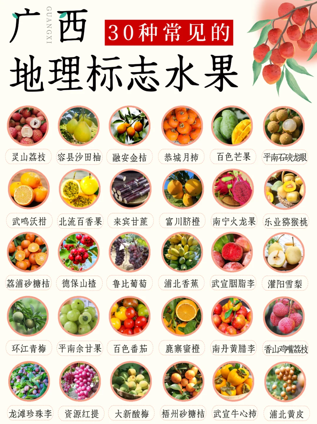 广西水果图鉴丨广西就是水果脑袋的快乐星球