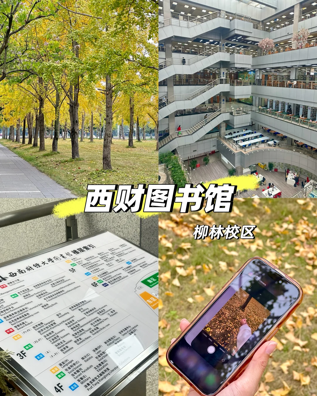 ?️才发现图书馆这么棒！เริ่ดเลยล่ะ!?