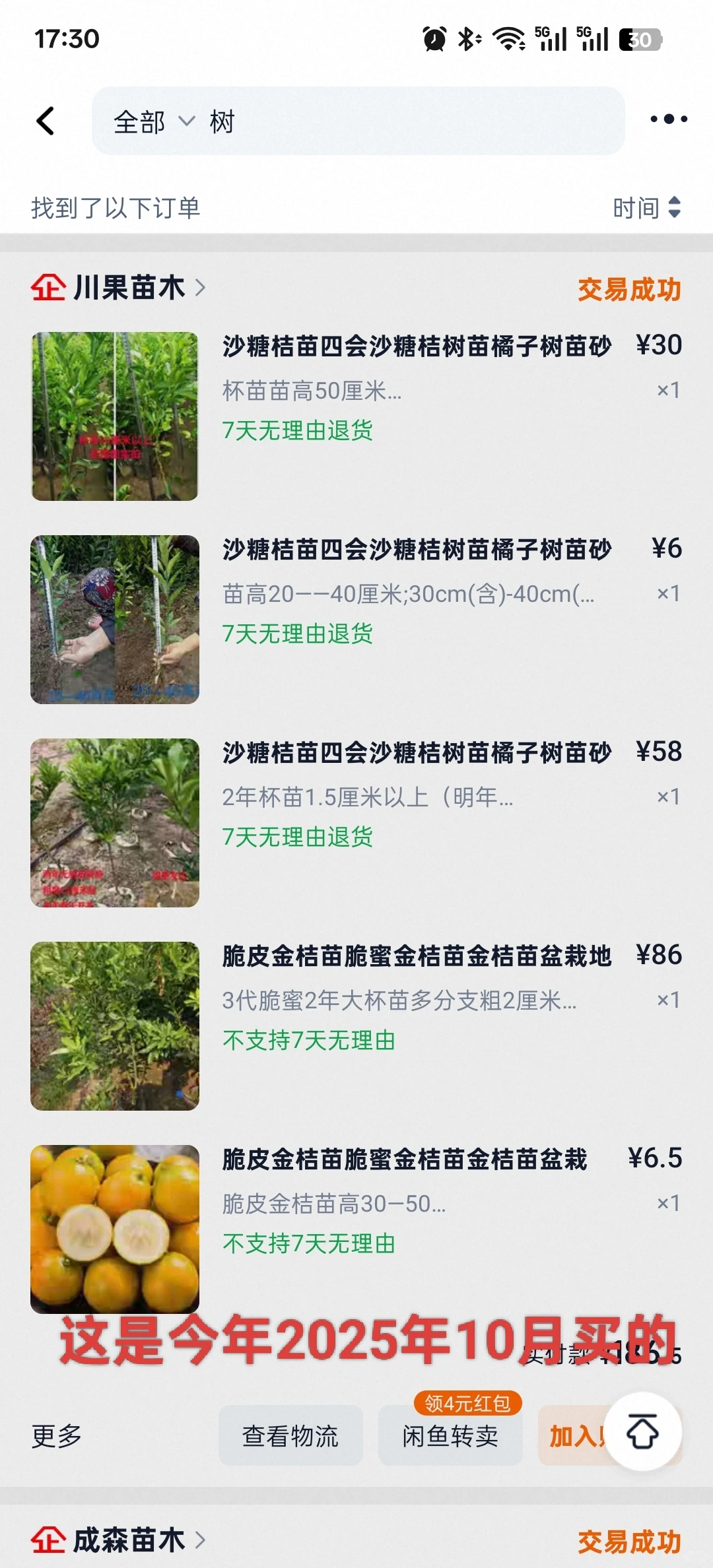 想看看你们种的挂满枝头的水果?