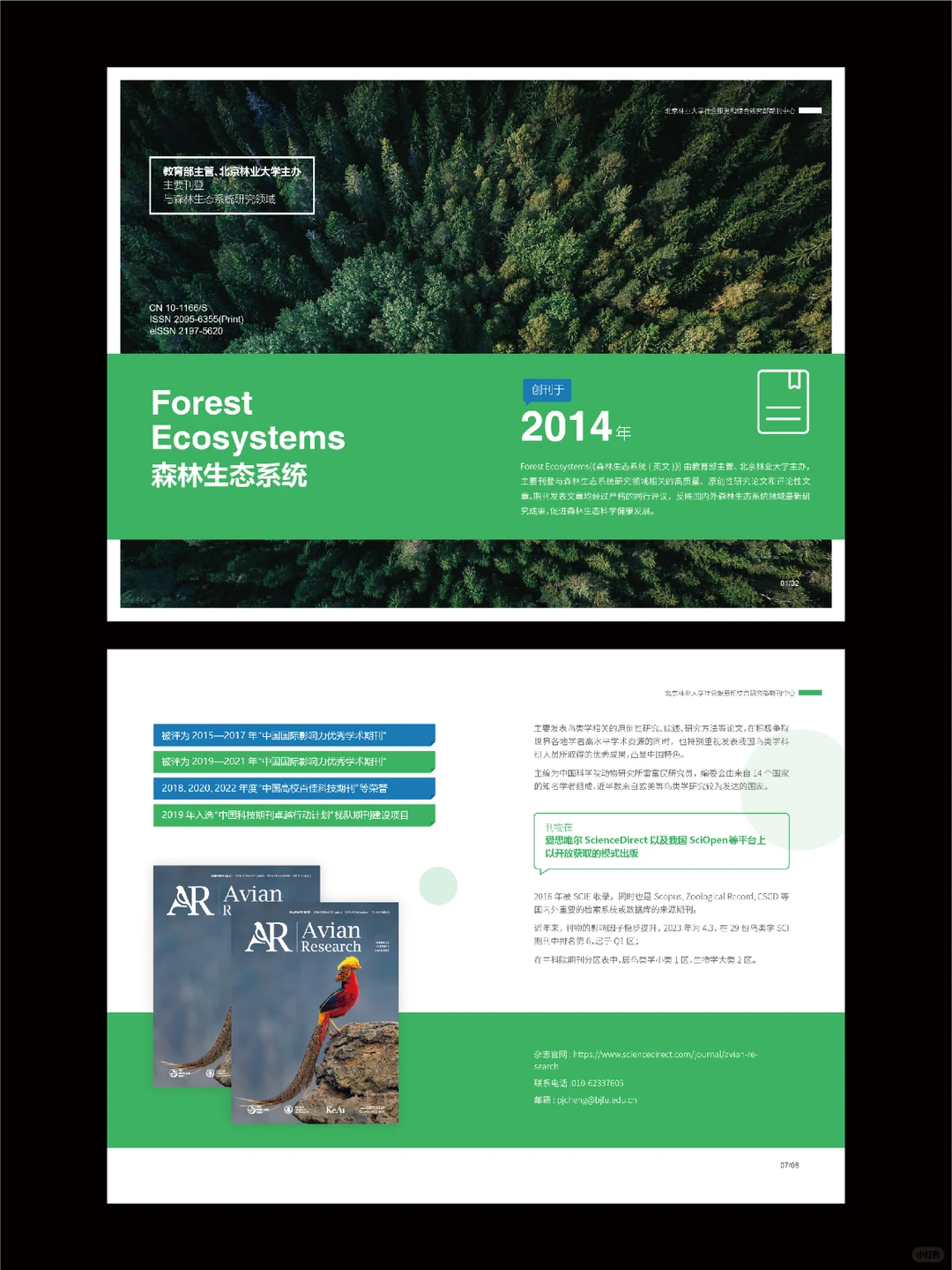 一抹蓝绿? 探秘北林大期刊? 蓝绿风暴