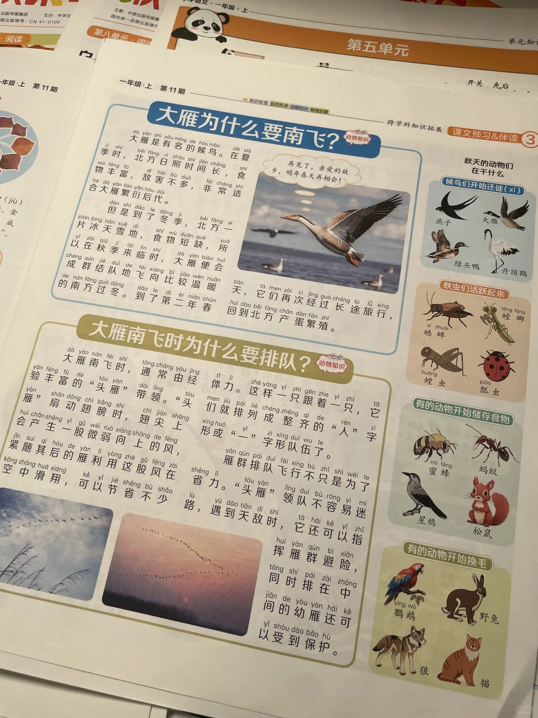 一年级小学生 语文阅读拓展