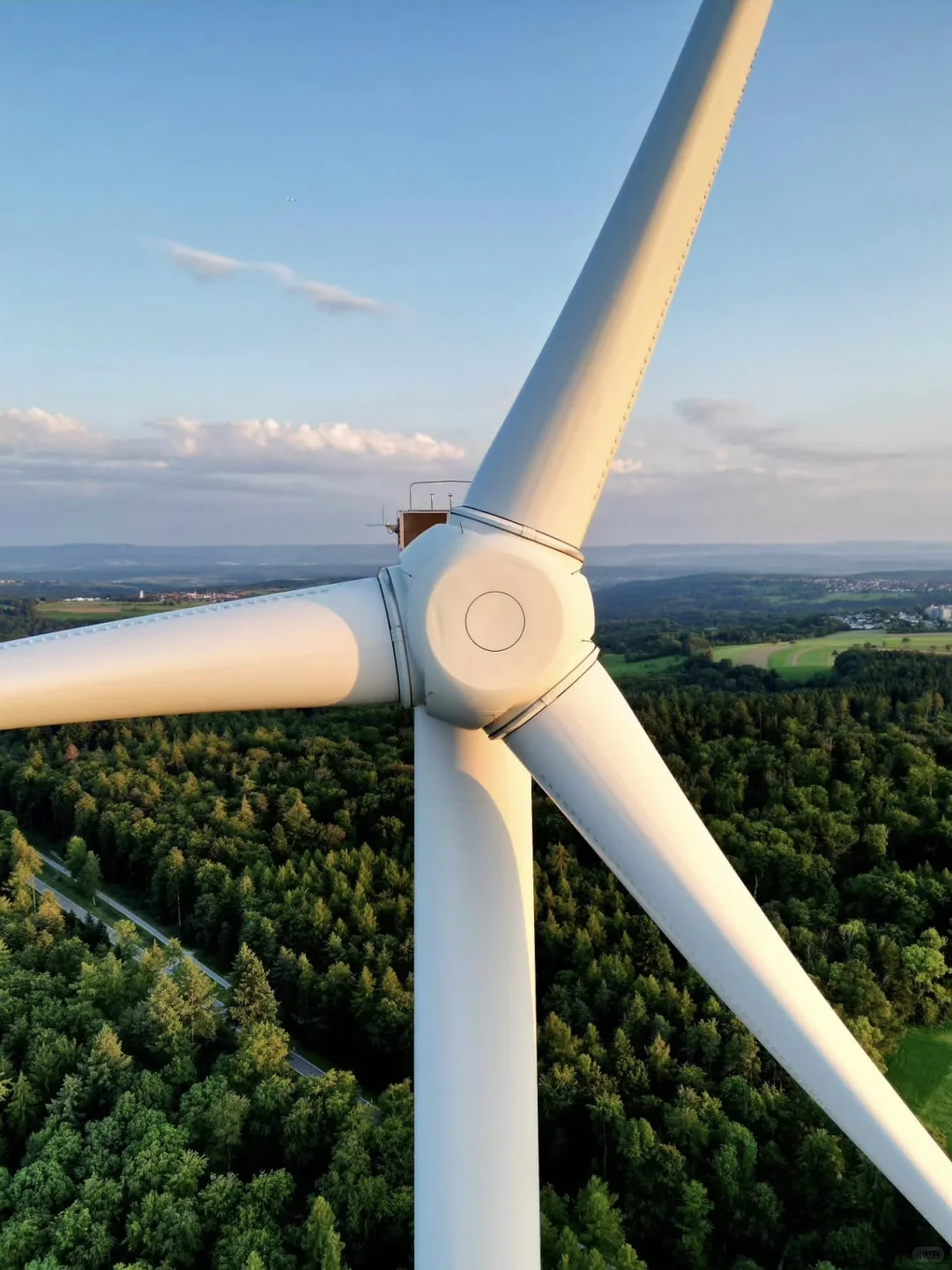 ☀️国际清洁能源日｜ZOO的100个自然日?