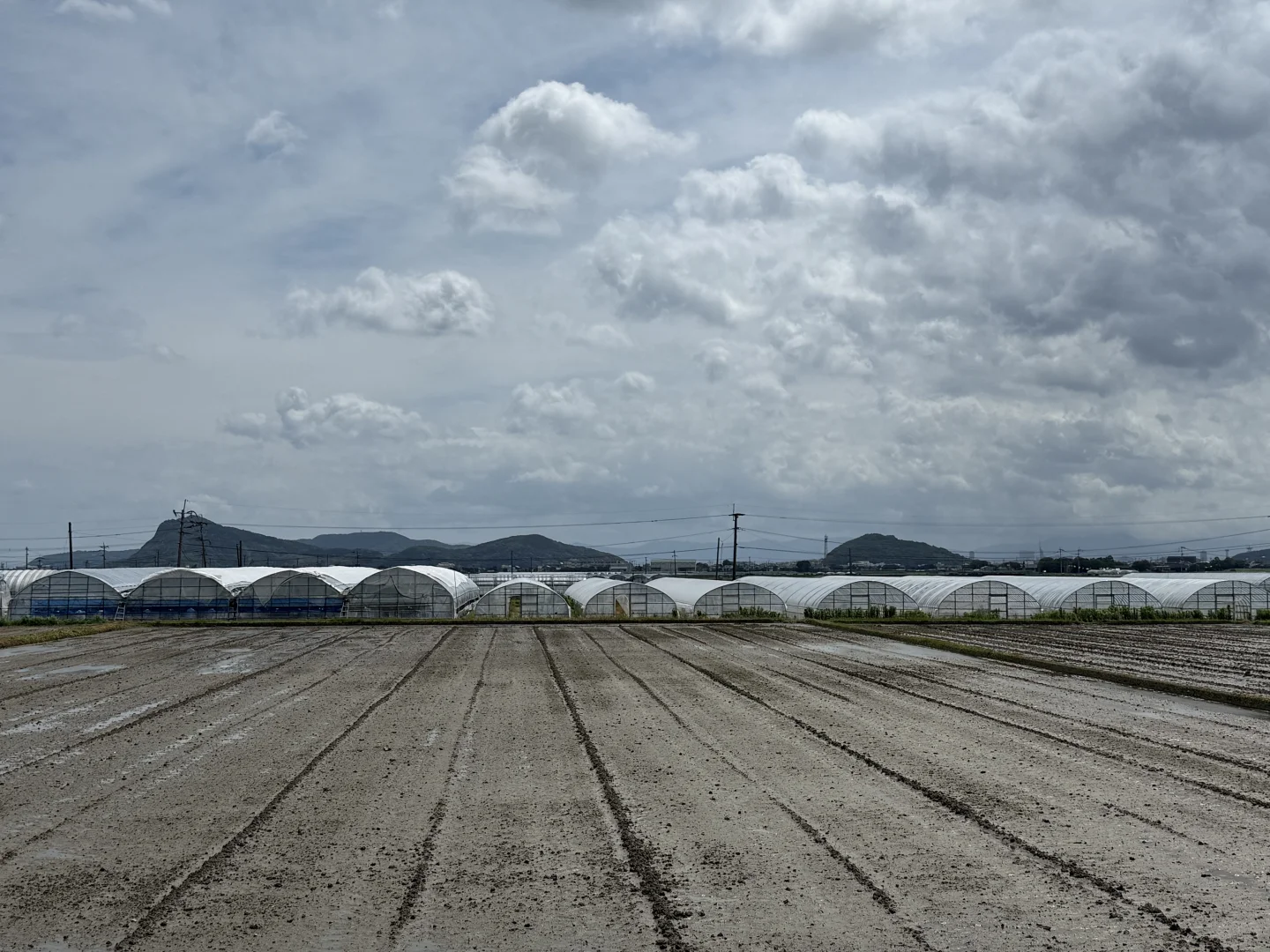 如何在日本做农业，你想问的我有系统方案