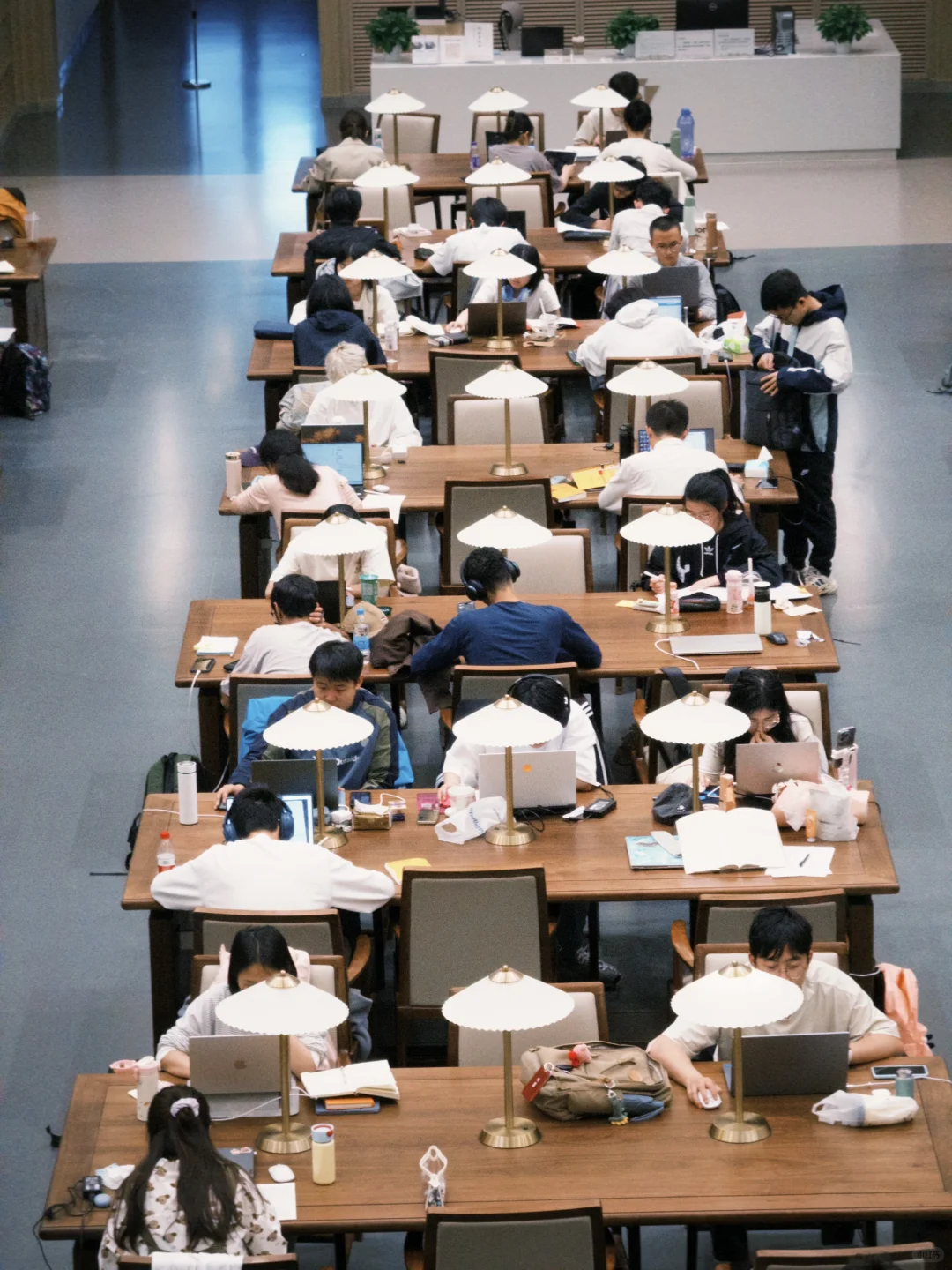 欢迎来到霍格沃茨学院 | 浙大图书馆?