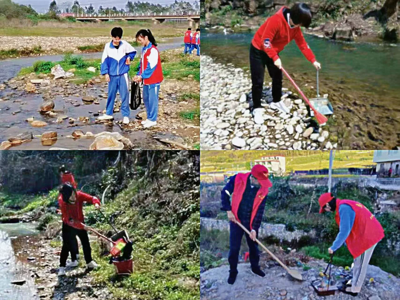 6月份志愿活动 | 水清岸绿，生态环境我保护