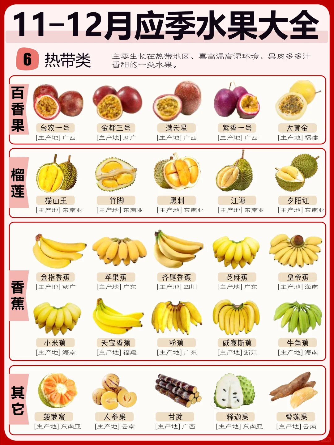 11月—12月应季水果大全