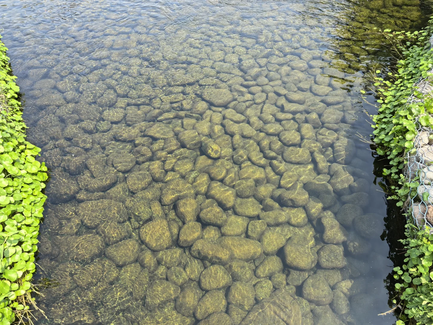 这不是公园，是污水处理厂