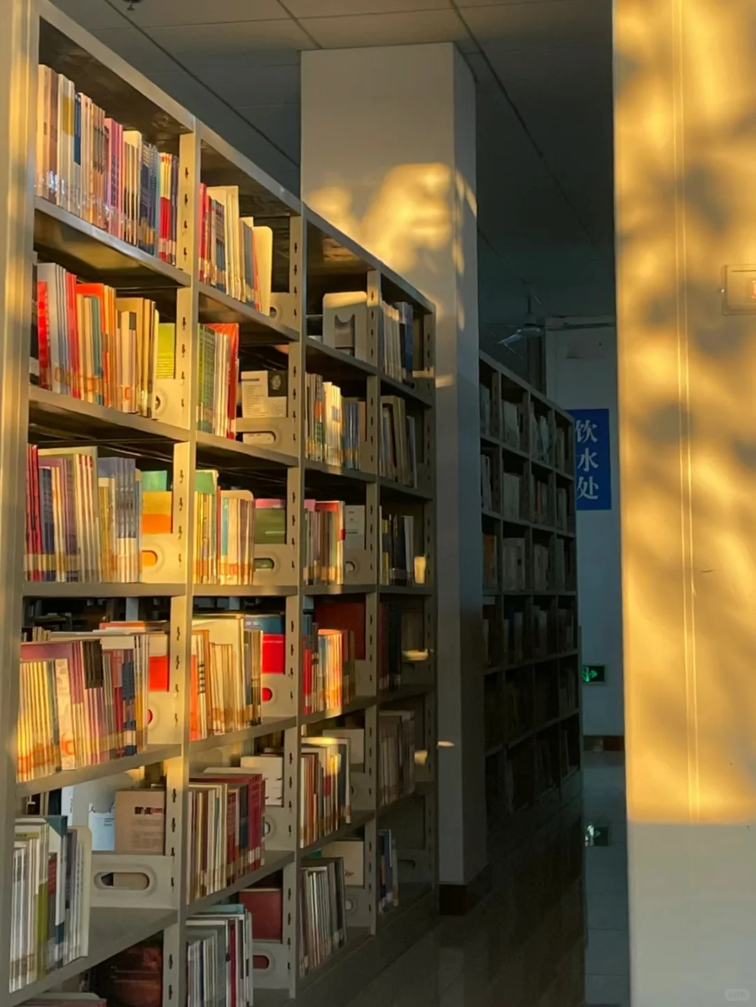 阳光下的图书馆