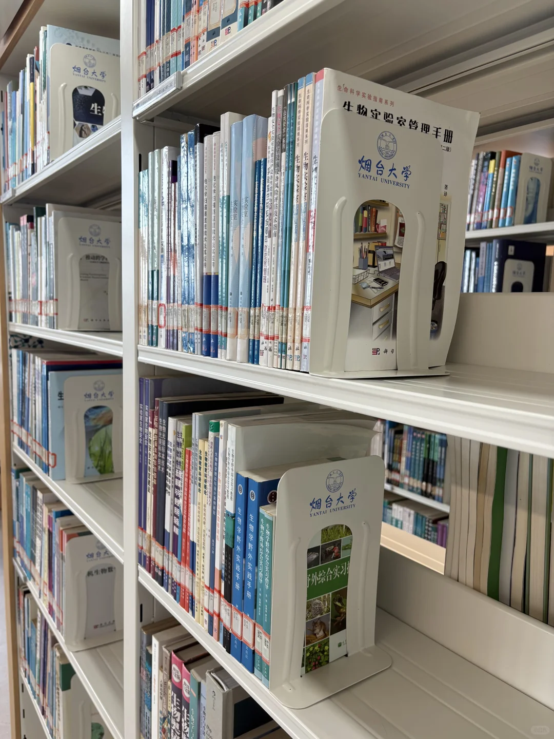 烟大图书馆好气派