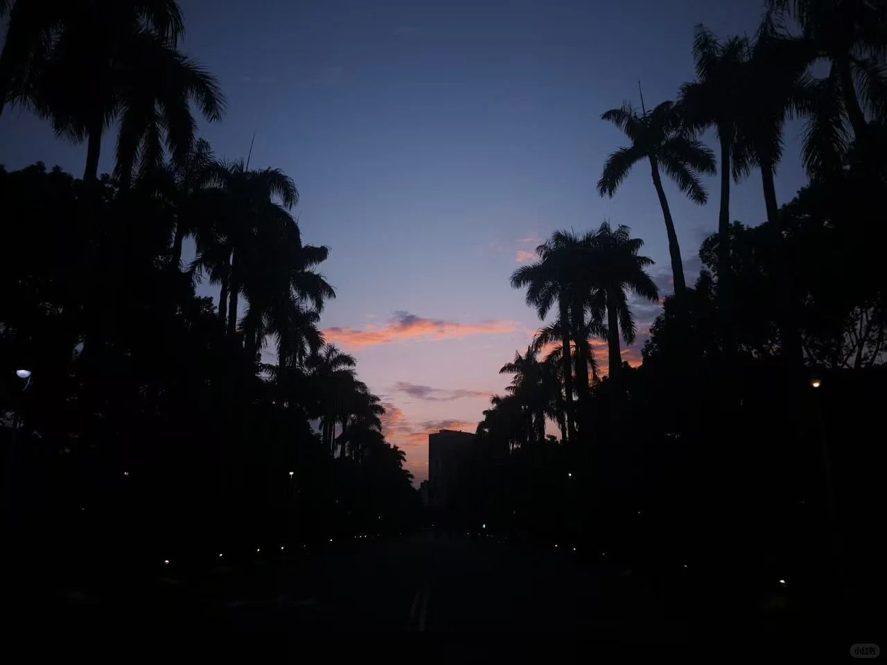 台湾交换｜台大图书馆泡馆指南