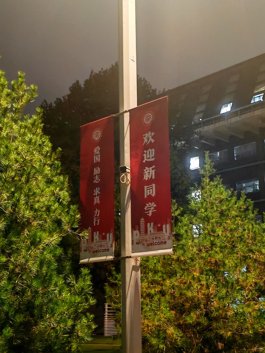 8月22日晚八点 北大图书馆 大家都好努力啊