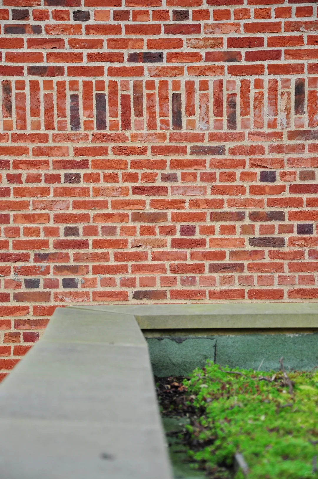 从剑桥大学新红砖图书馆去重新看待陶磊翻车