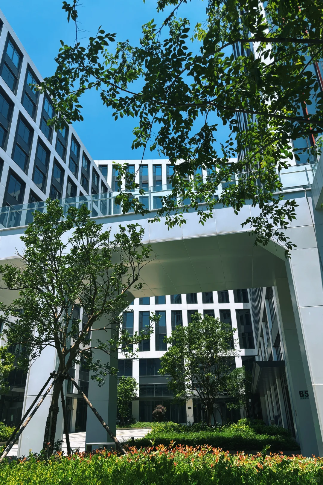 做服装10年，终于找到“招工不难”的秘诀…