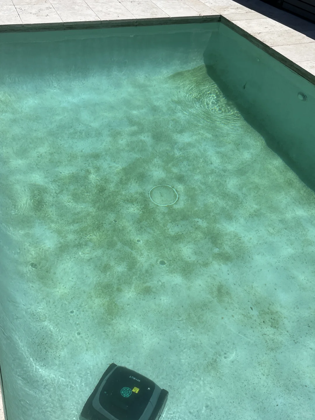 澳洲后院泳池自救计划(一)