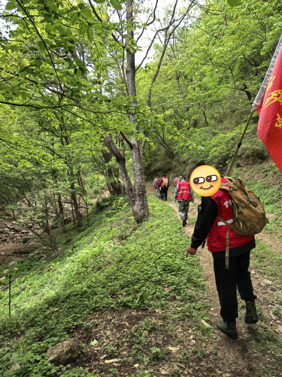 国有林场工作忙不忙