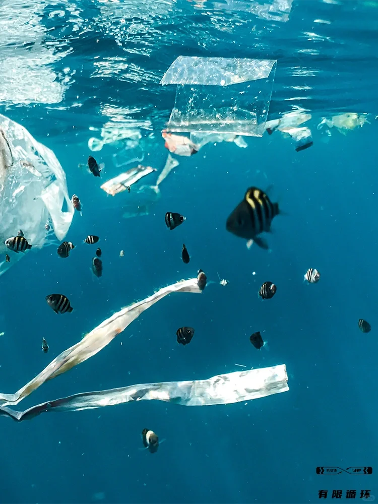 保护海洋，从小事做起！