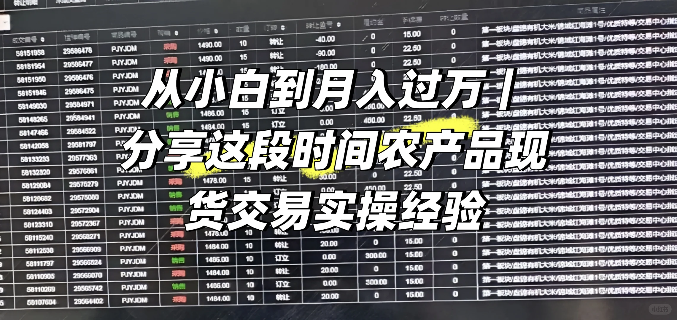 这玩意到底咋操作，能赚钱不？