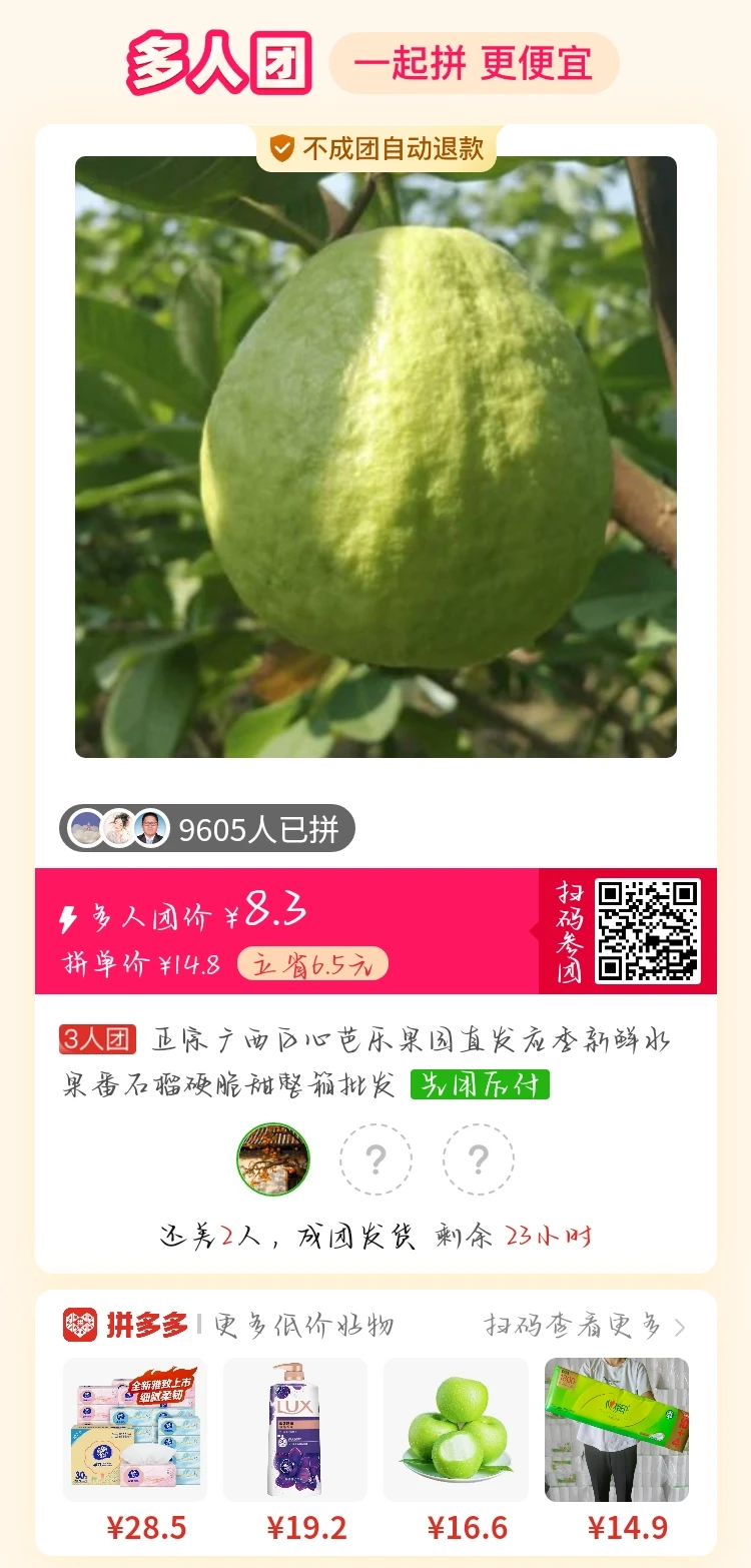 超甜！超多汁！超脆！番石榴！