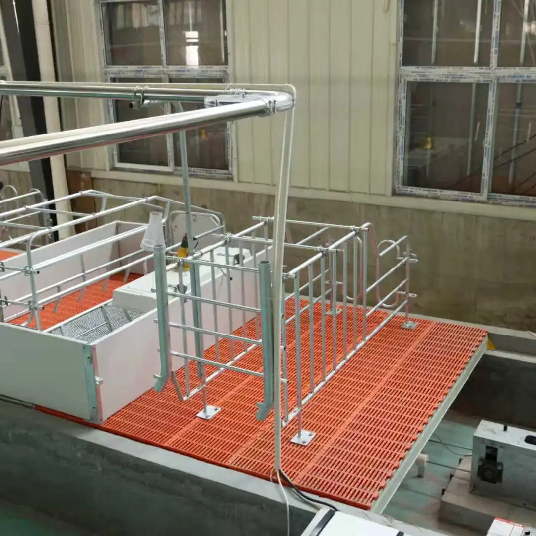 养殖设备一站式采购：养猪场定位栏