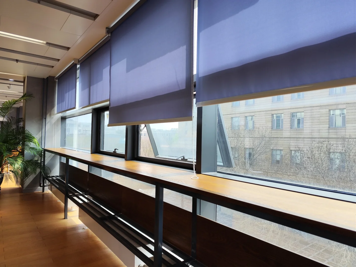 清华大学里最舒服的图书馆！