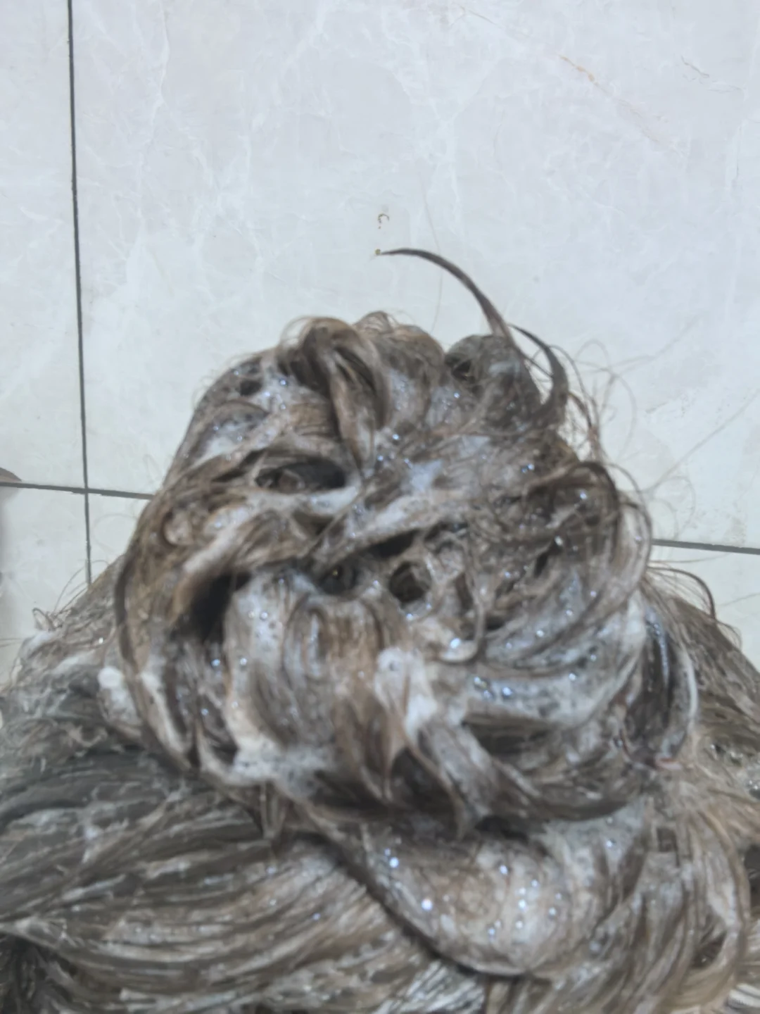 我怎么现在才发现这么好用的洗发水！