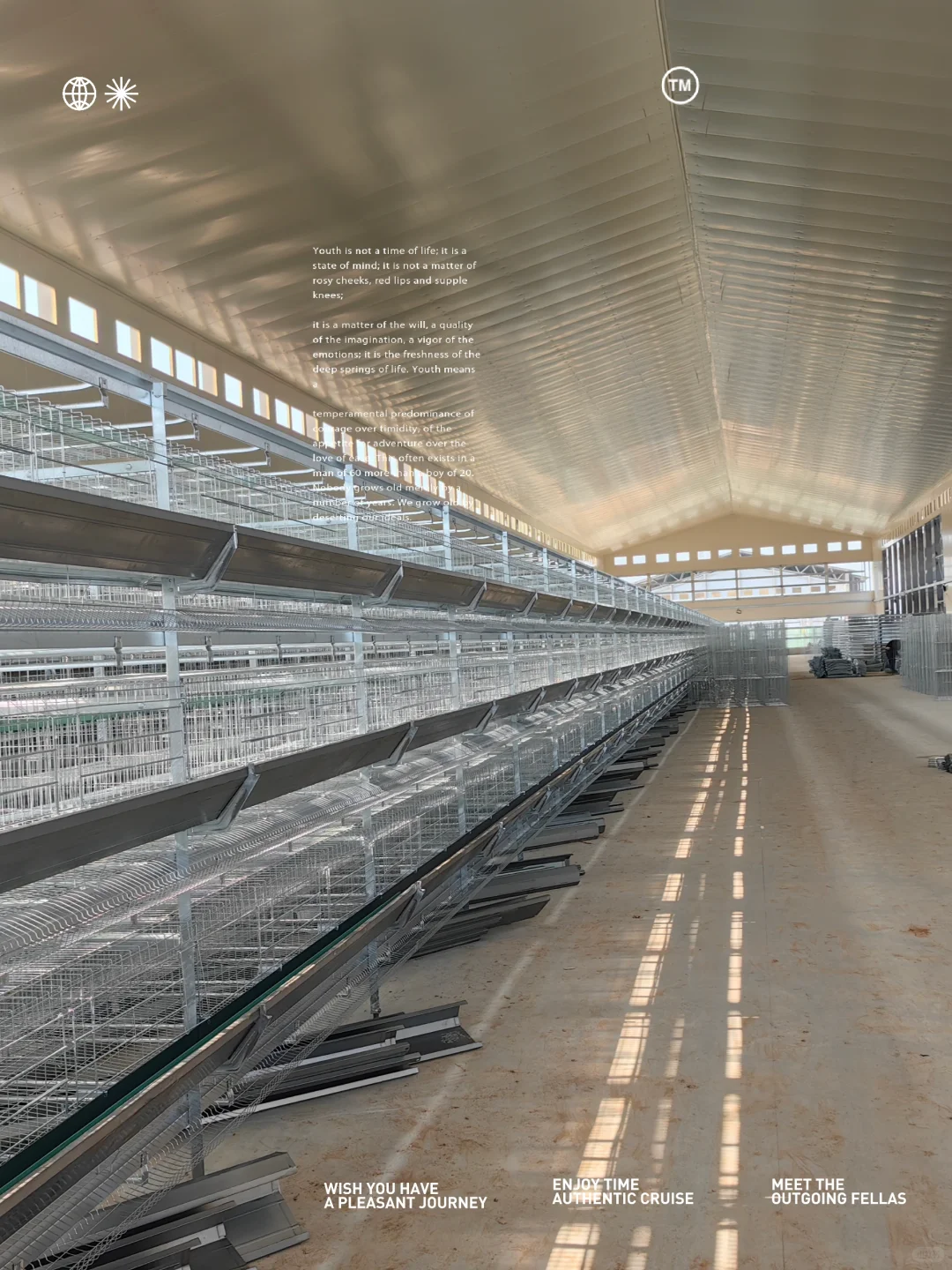 全自动化蛋鸡场设备安装中，2024年3月投产