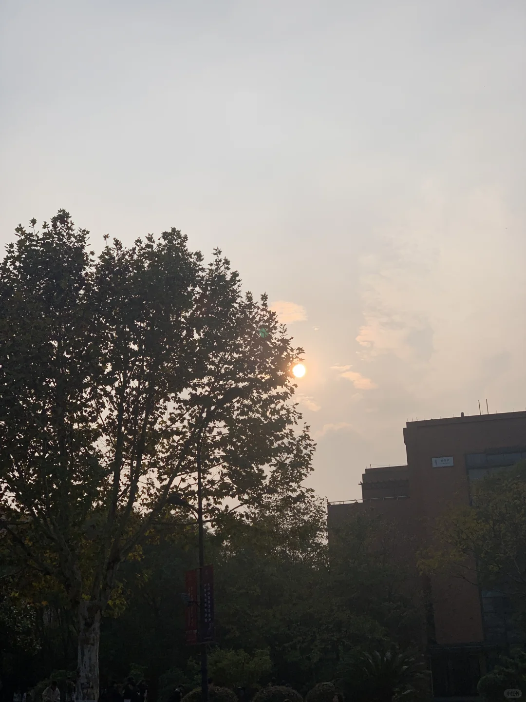 女大学生周末无聊的一天