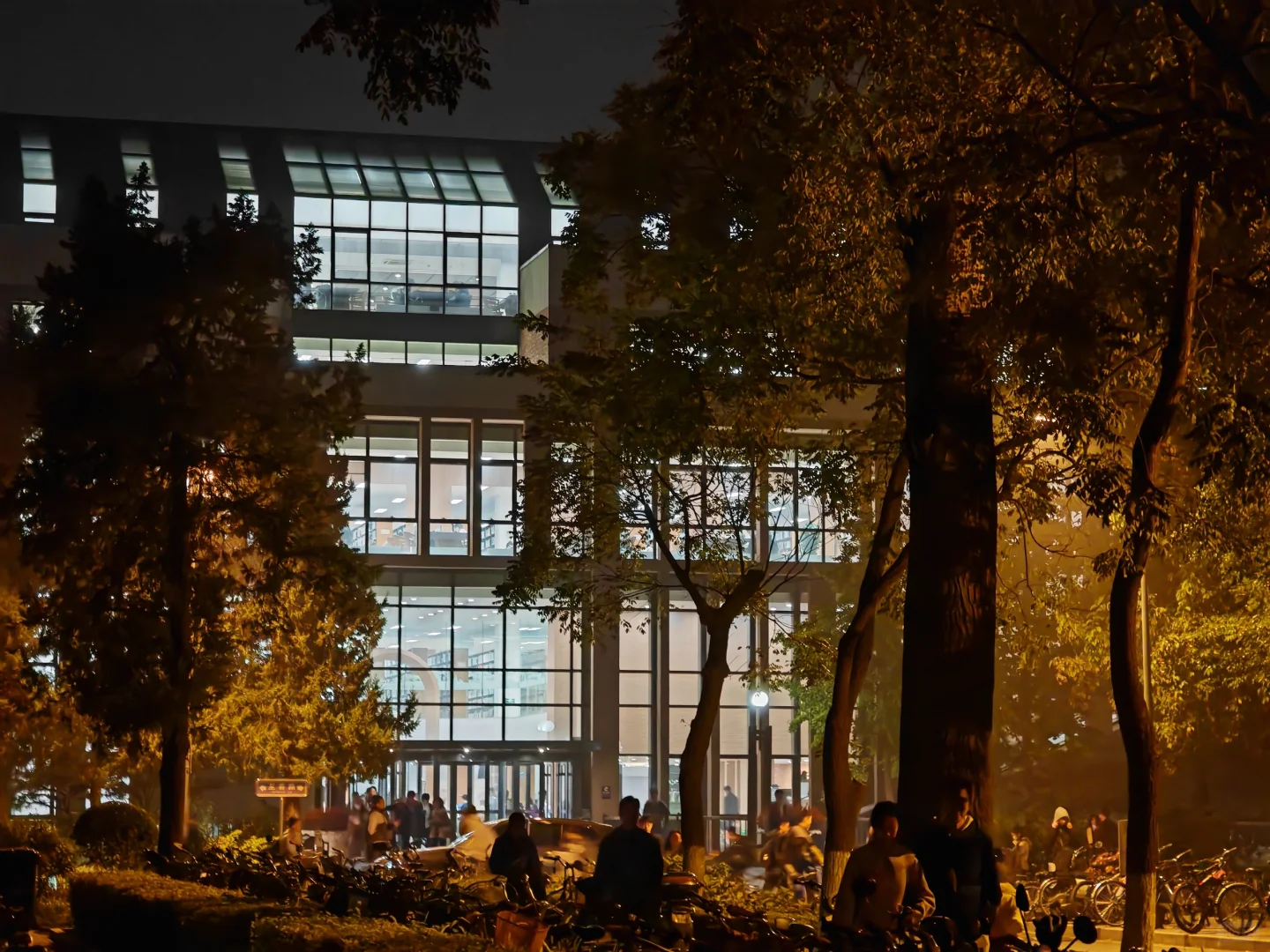 半年来第一次进图书馆就待到闭馆