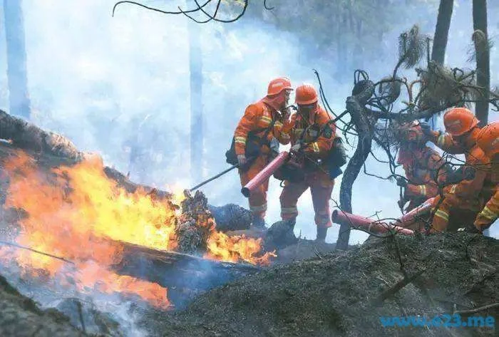 森林消防员-国家林业局职业技能鉴定指导中