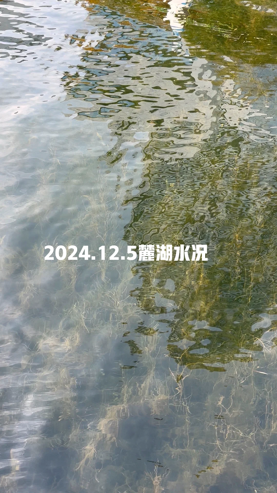 探秘麓湖｜麓湖的水以后会一直清澈吗