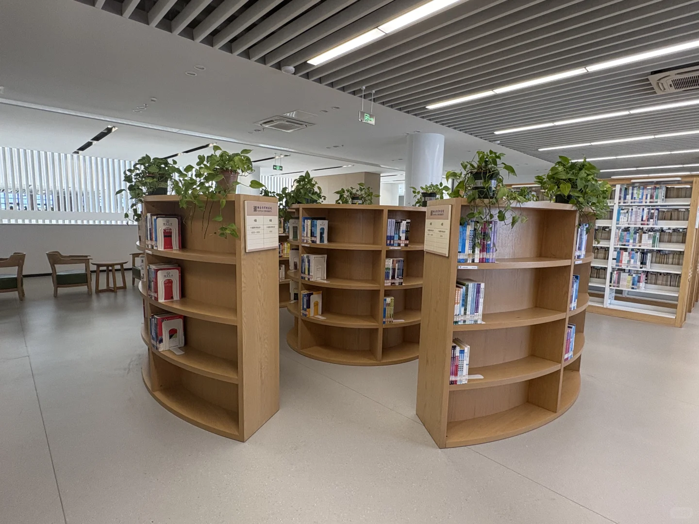 烟大图书馆好气派