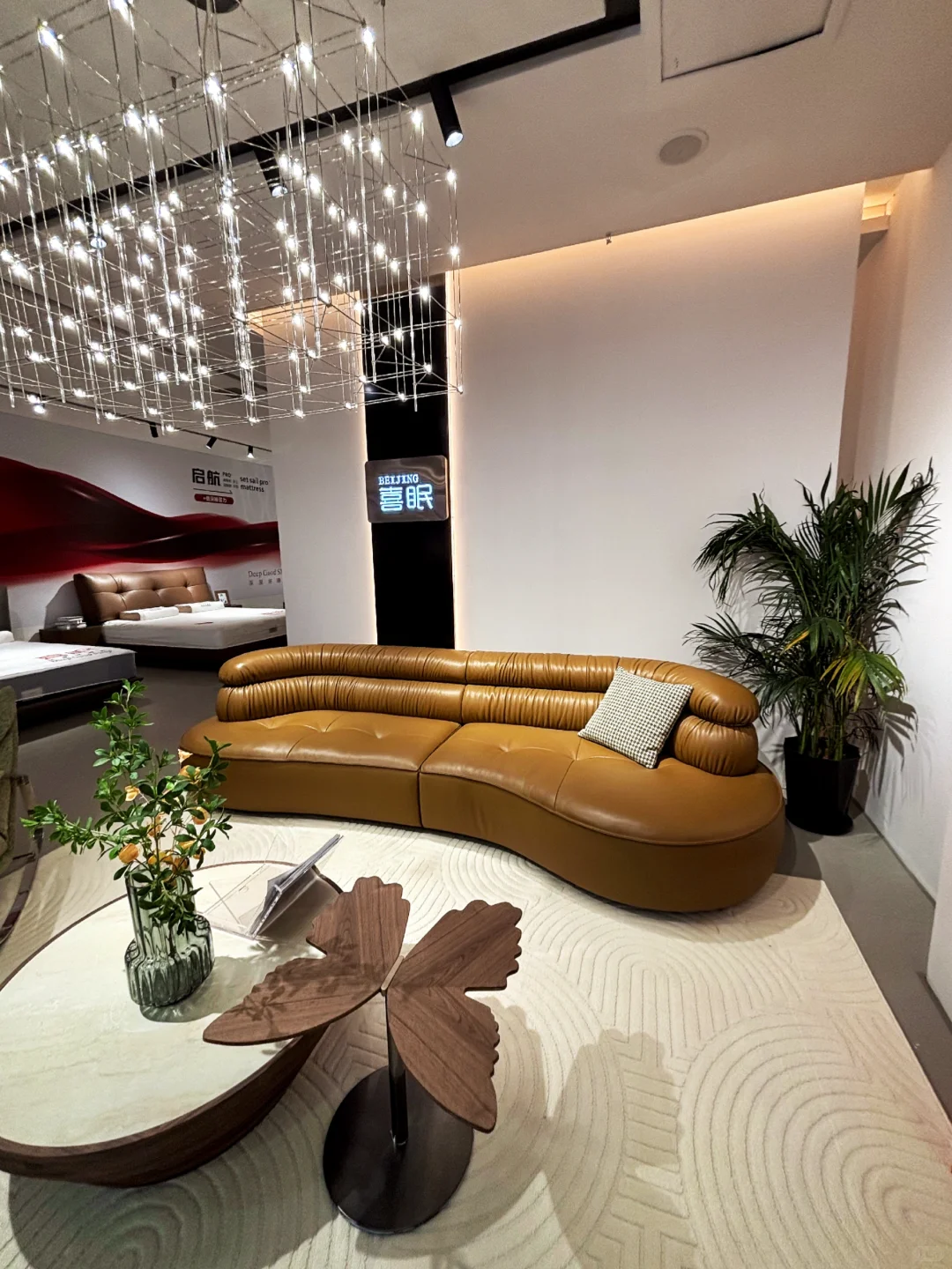 商场哪有家居市场好逛