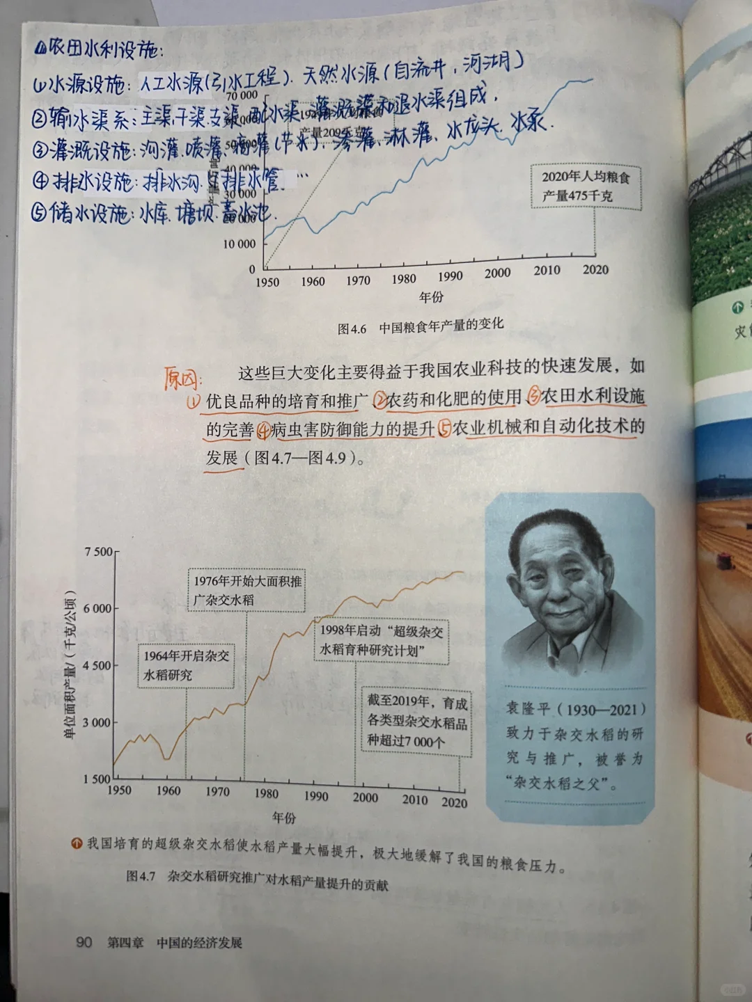 新版八上地理4.1农业笔记