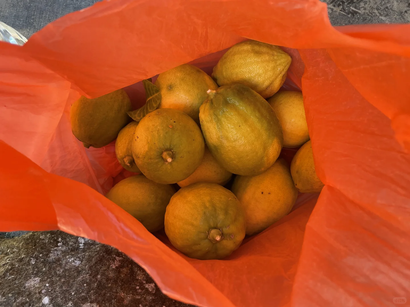 咱也有自己种的果实?啦