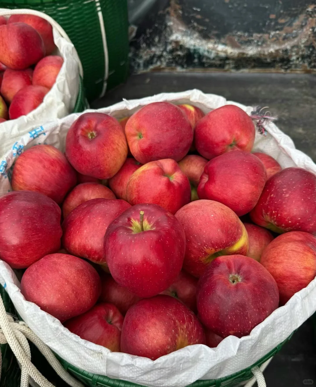 我在大山里种的红露?