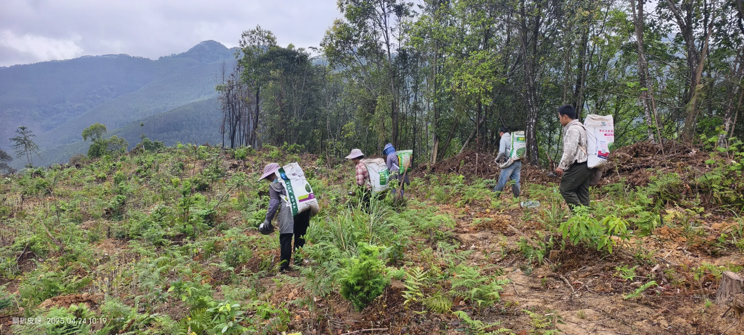 林业基层日常工作记录11