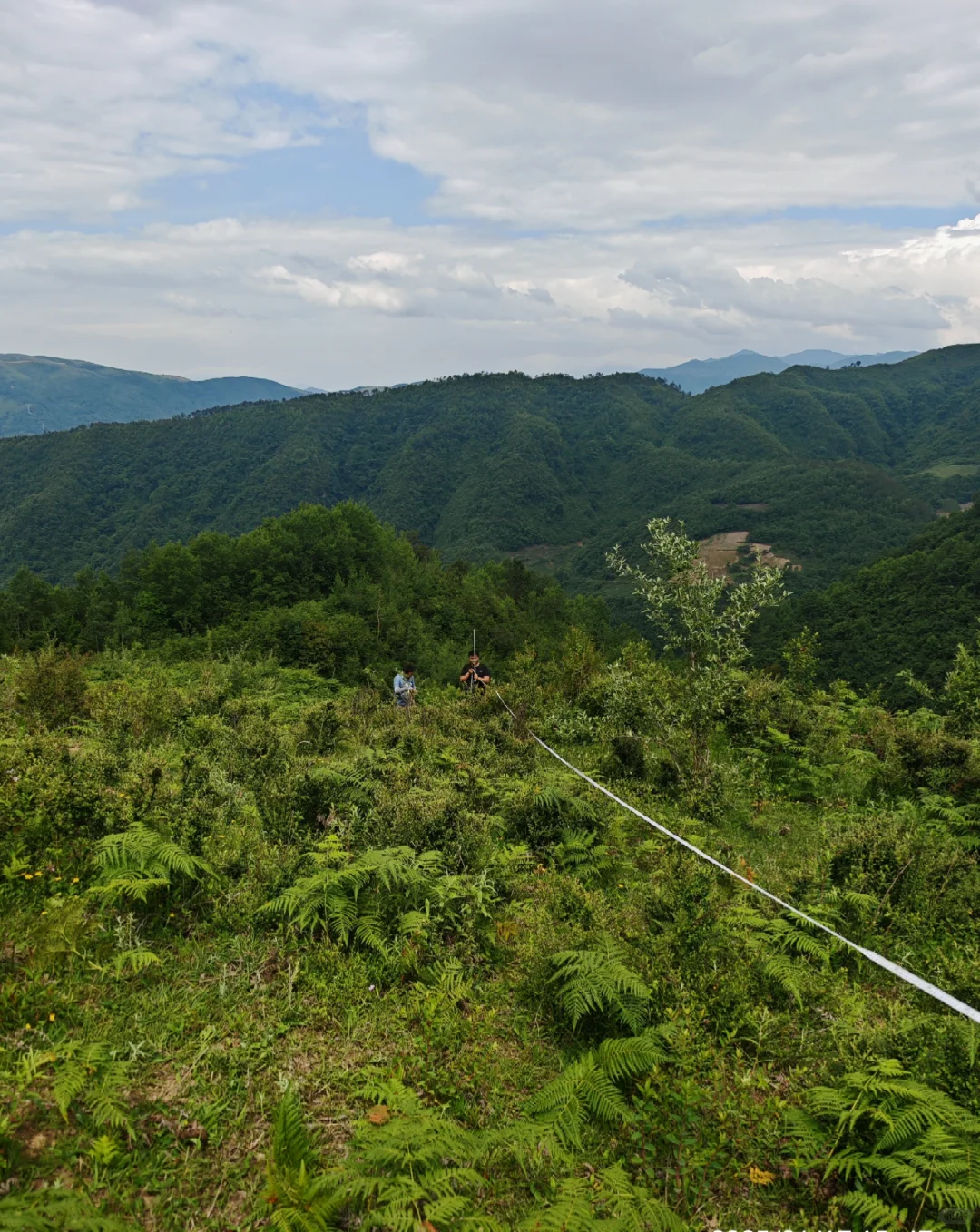 女孩子做林调，来来来，讲一讲