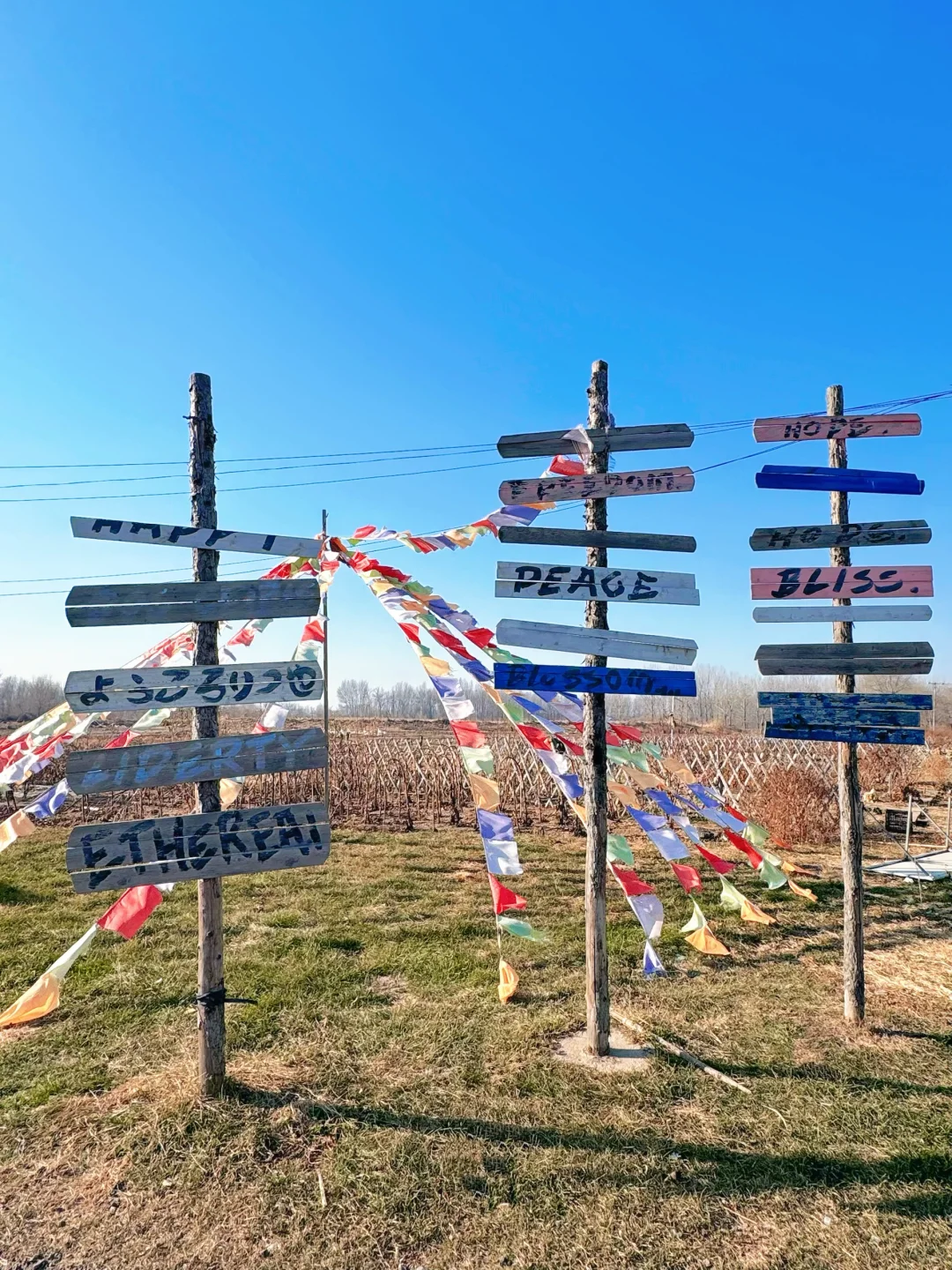沈阳冬日遛娃天花板！承包一整天的田园快乐！