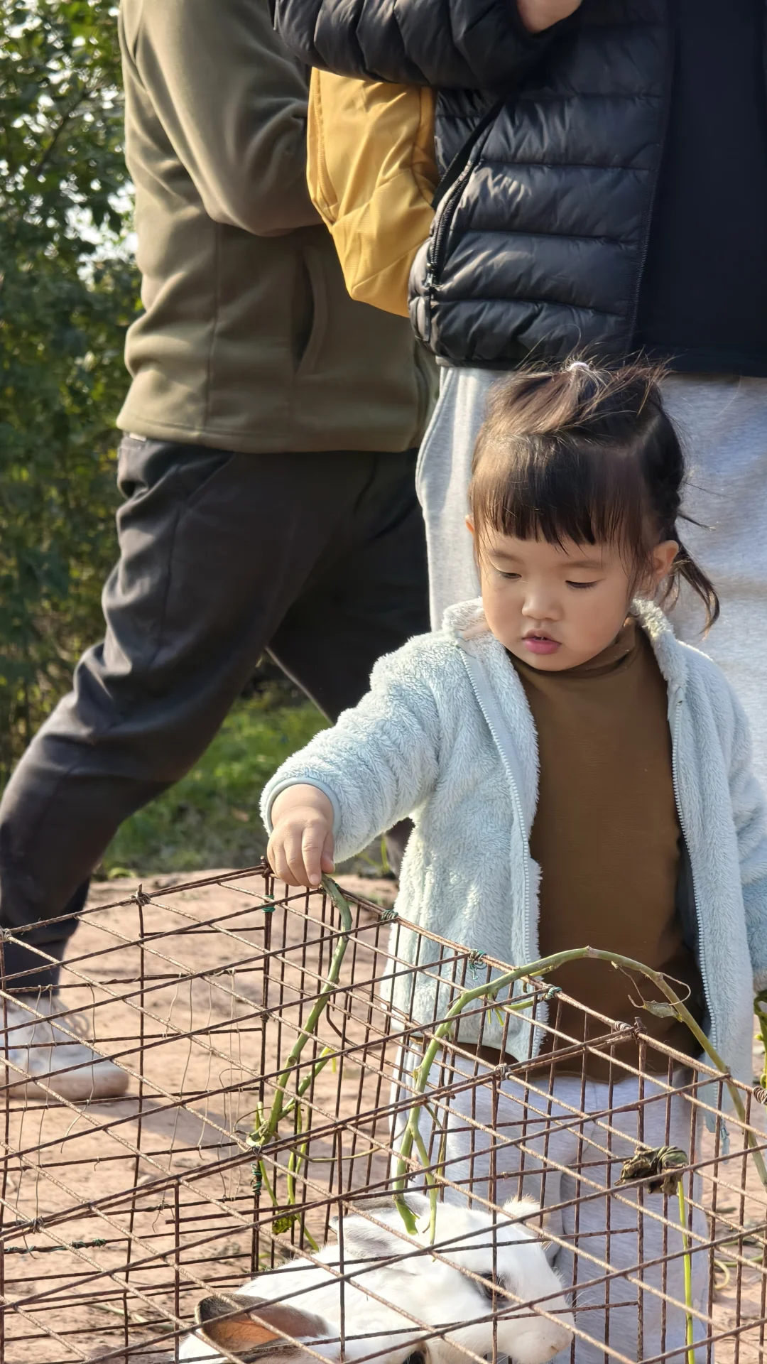 每周一山?成都南门不费腿亲子徒步路线
