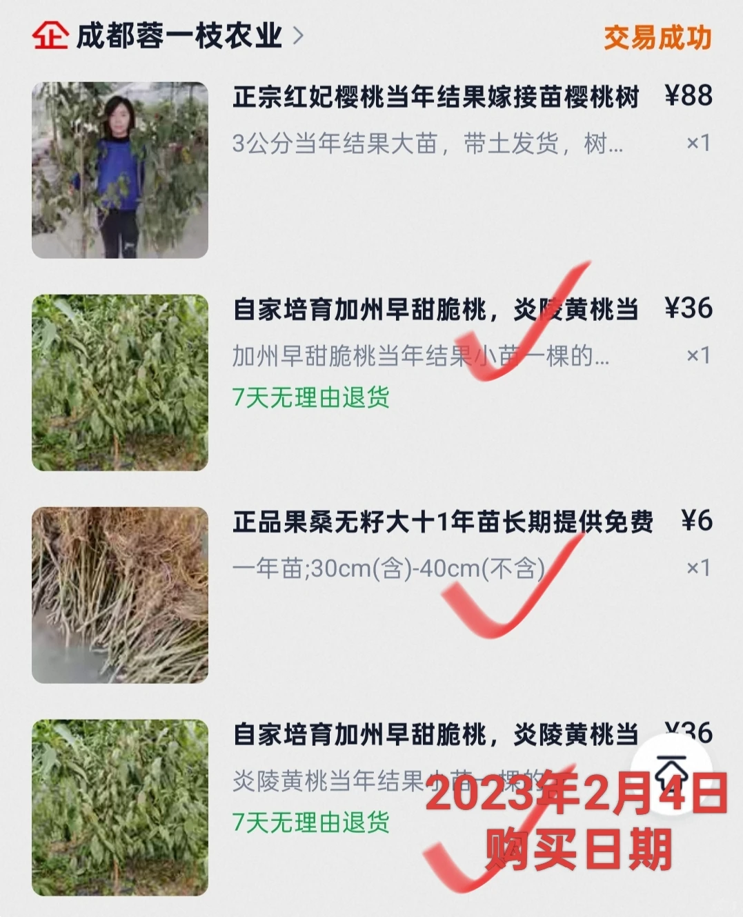 想看看你们种的挂满枝头的水果?