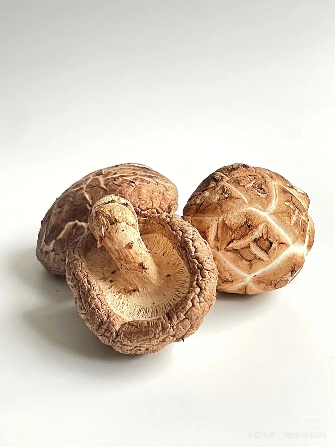 色彩练习素材2～水果????????‍?