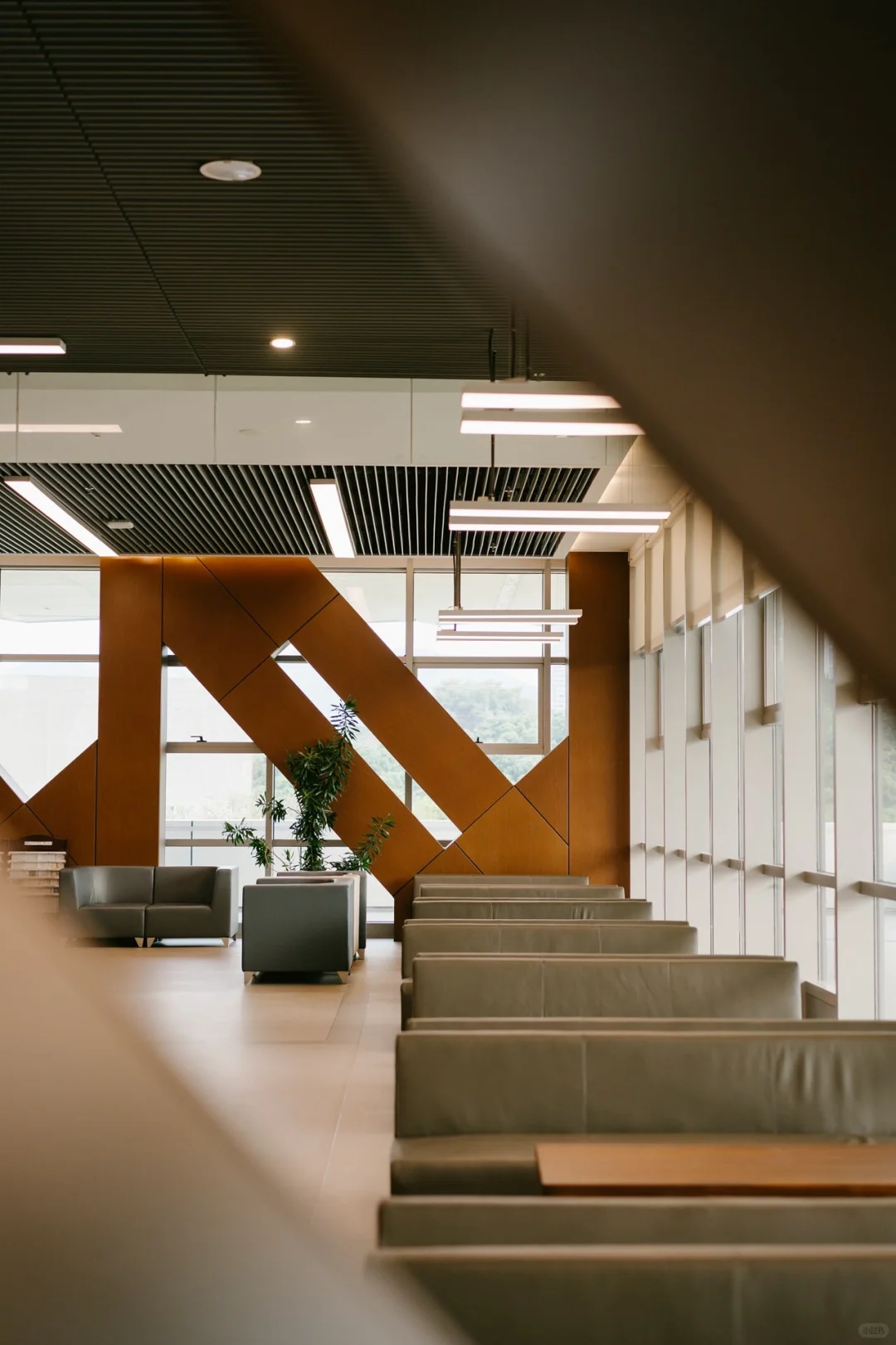 深圳大学丽湖校区中央图书馆?太美了！！