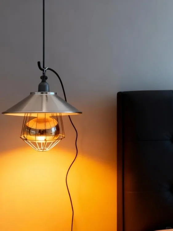 买了个20块养殖场灯暖到跺脚 ！??