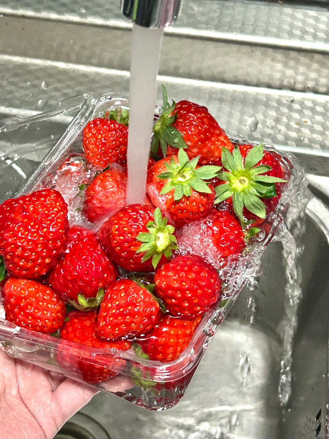 想看看你们相册里的草莓?