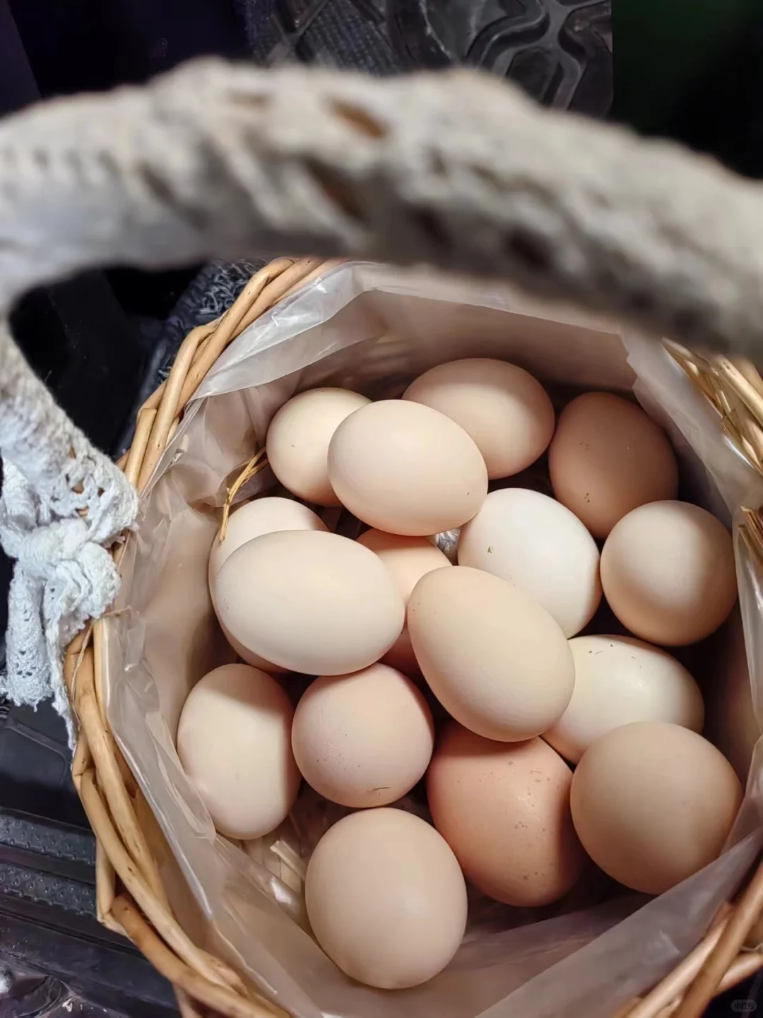 记录一下，养鸡进入第三个年头了