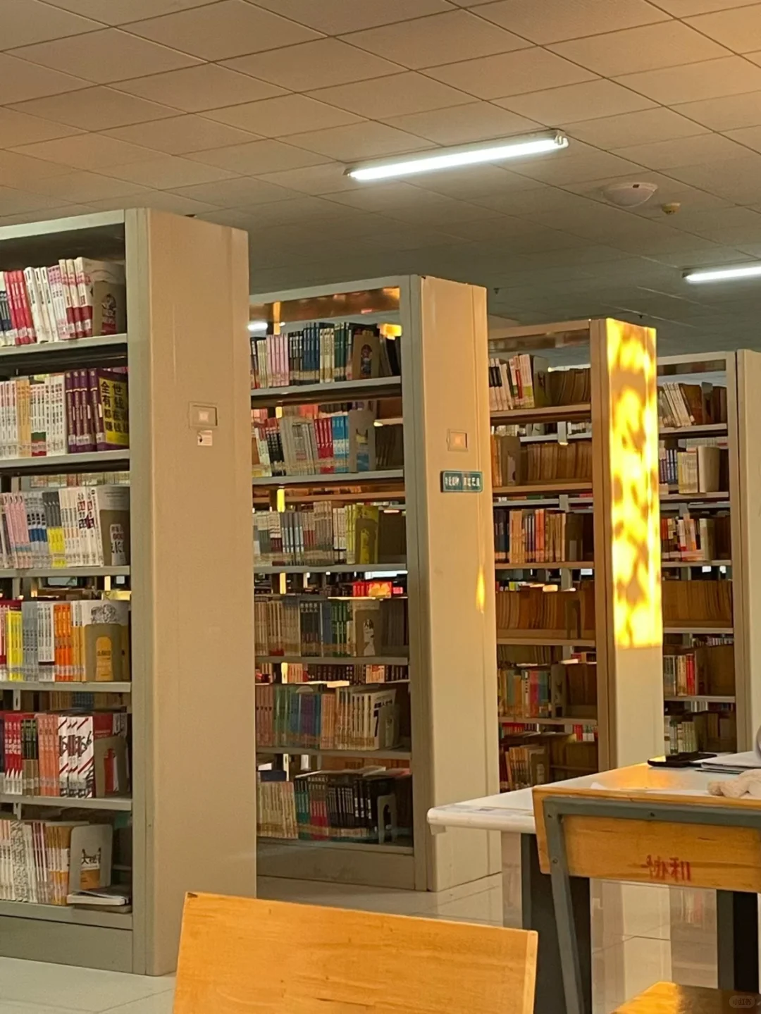 阳光下的图书馆