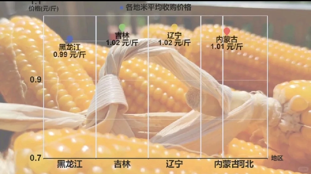 期货世界的“基石”：玉米